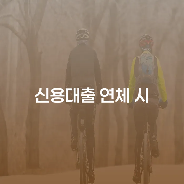 개인회생파산종합지원센터 대출 연체 개인회생 대해서