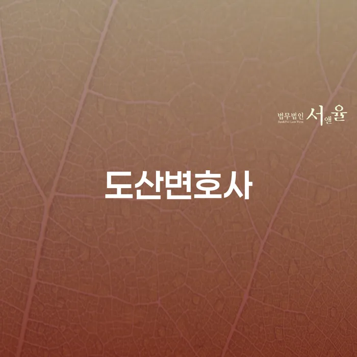 신용회복 채무 효과적인 해결방법 꼼꼼히 따져보고