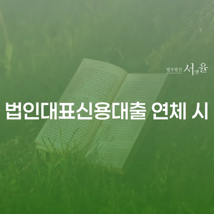 개인회생전문 대출 받은 돈채무조정 어떻게 해야하는지