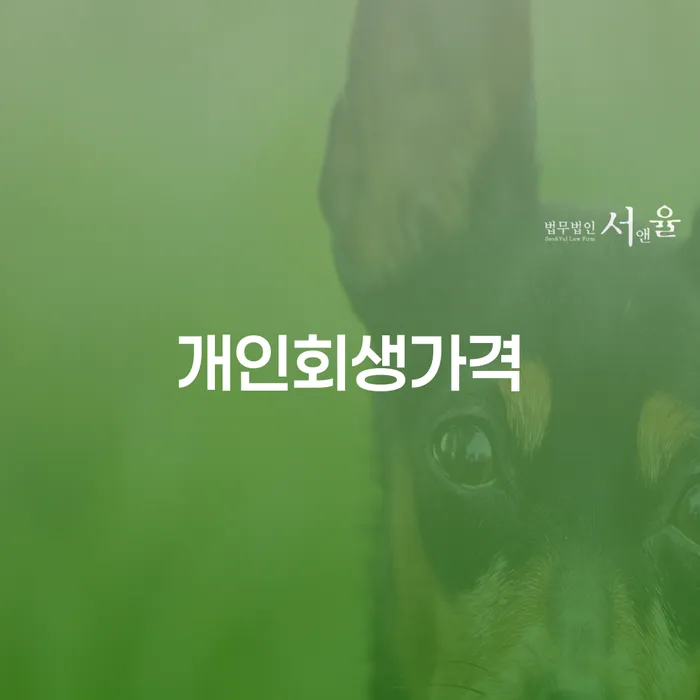 신용카드 연체 대출 개인파산 과정을