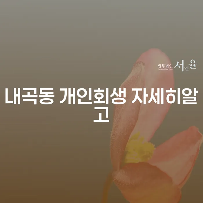 내곡동 개인회생 자세히알고