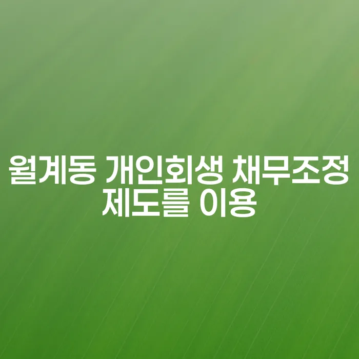 월계동 개인회생 채무조정제도를 이용
