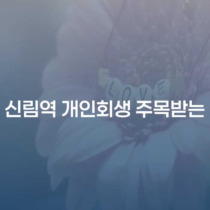 신림역 개인회생 주목받는