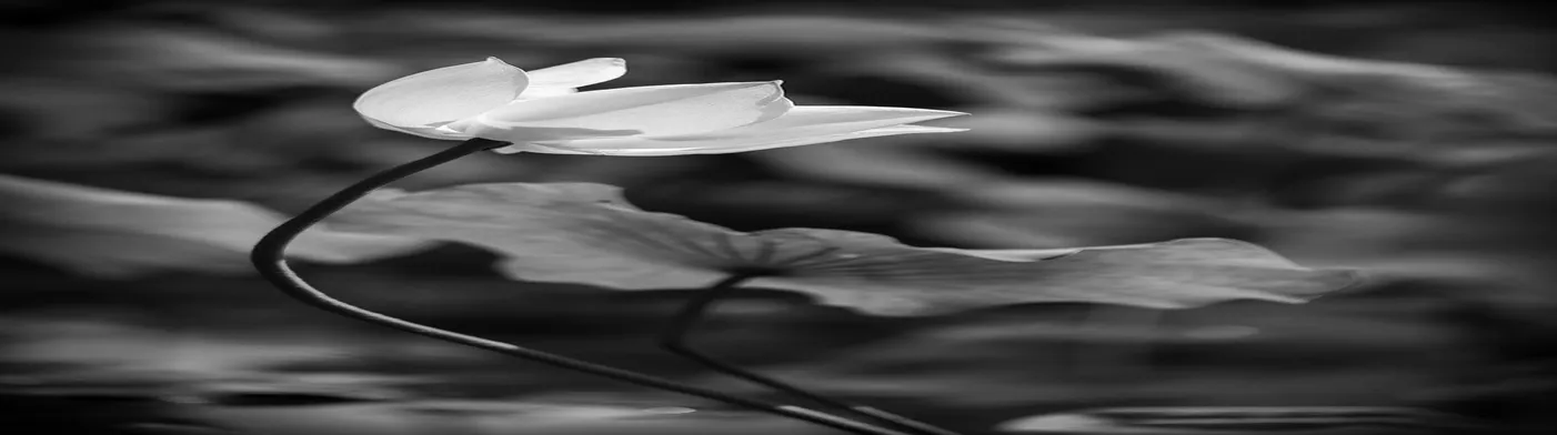 법무법인 서앤율