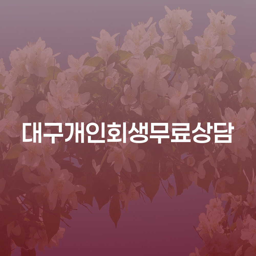 대구개인회생의 절차와 사례 분석