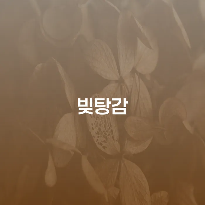41살 직장인 9660만원 카드대출 빚, 개인회생과 개인파산 중 어떤 길을 택해야 할까요?