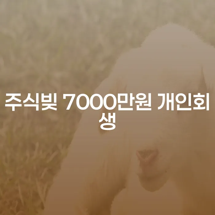 주식빚 7000만원, 개인회생으로 해결할 수 있을까요?